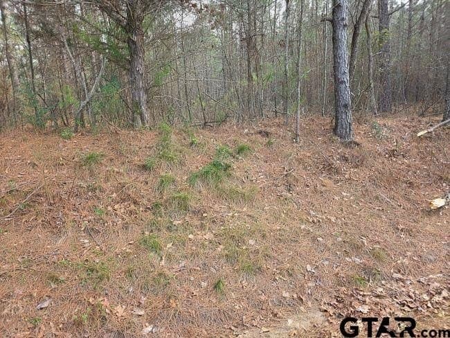 7.85 acres in Rusk County - photo 4