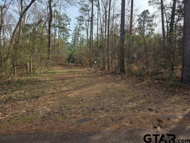 7.85 acres in Rusk County - photo 2
