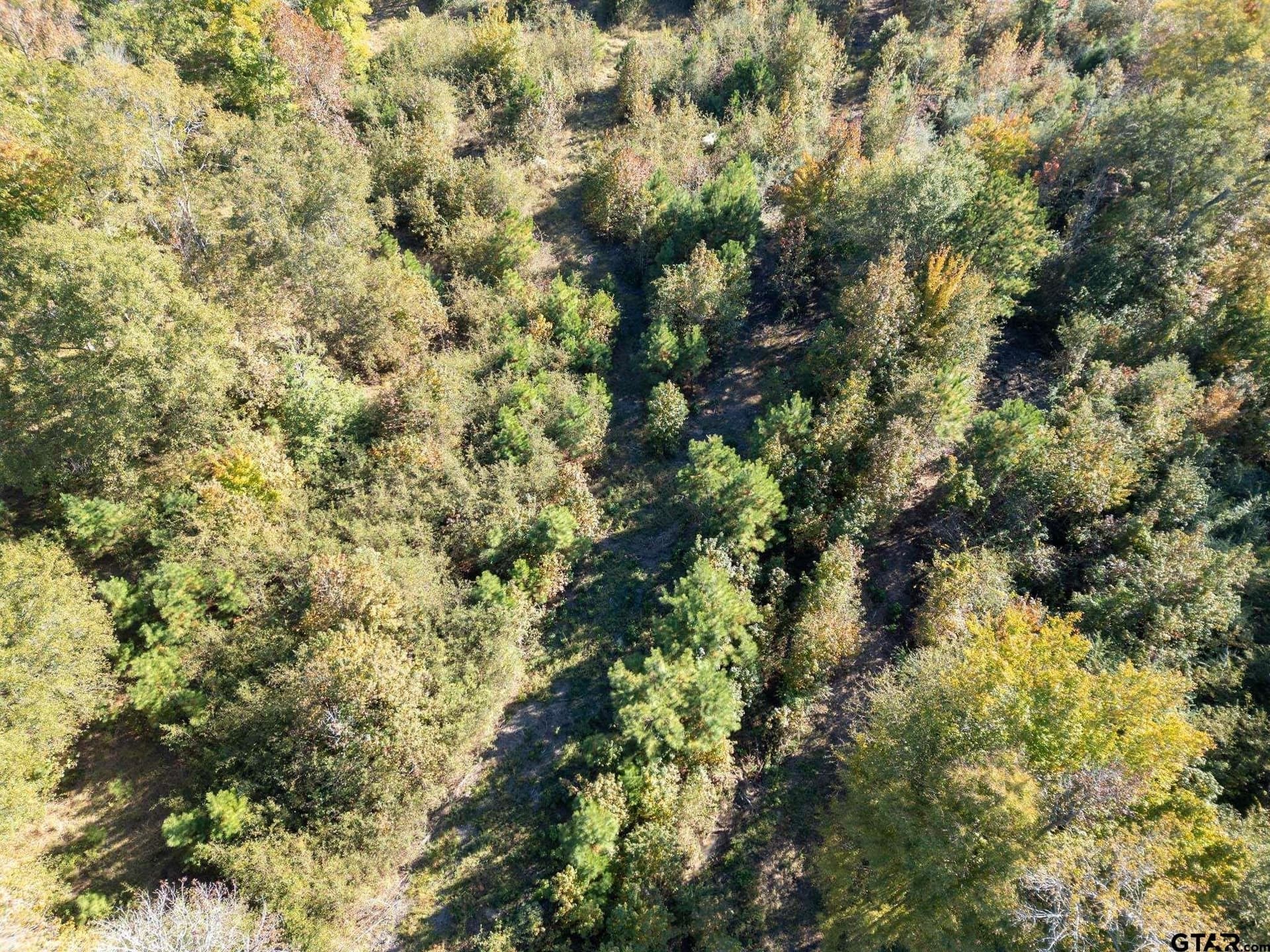 17.11 acres in Rusk County - photo 17