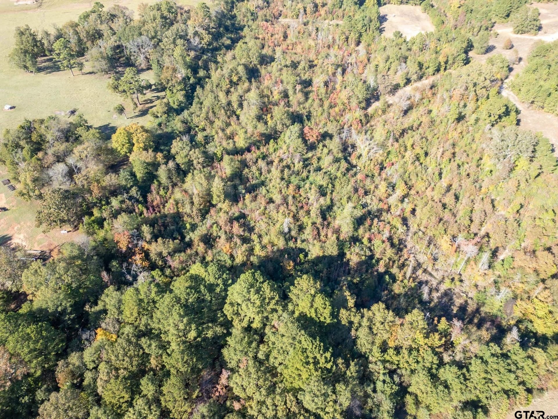 17.11 acres in Rusk County - photo 12