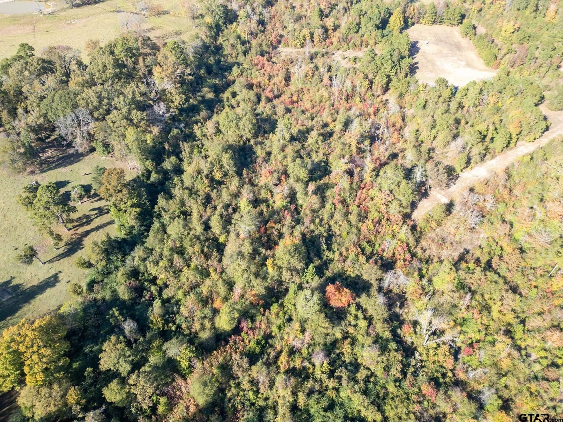 17.11 acres in Rusk County - photo 13