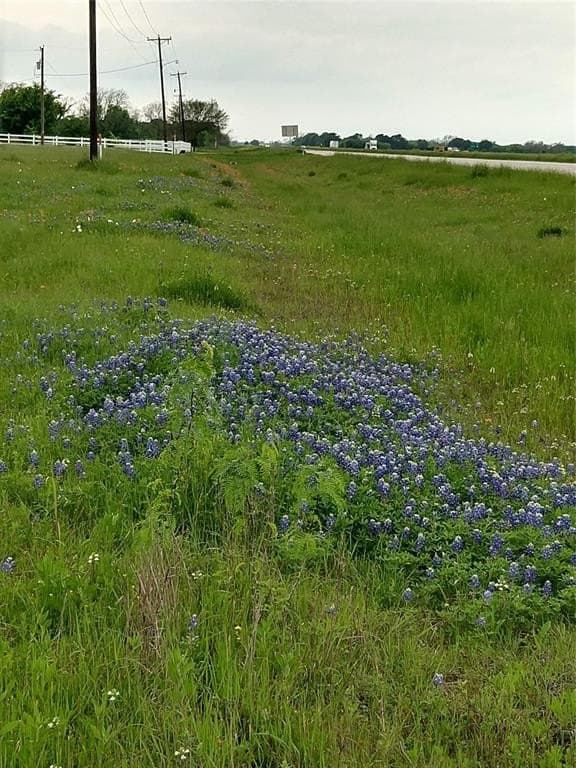11.01 acres in Falls County - photo 8