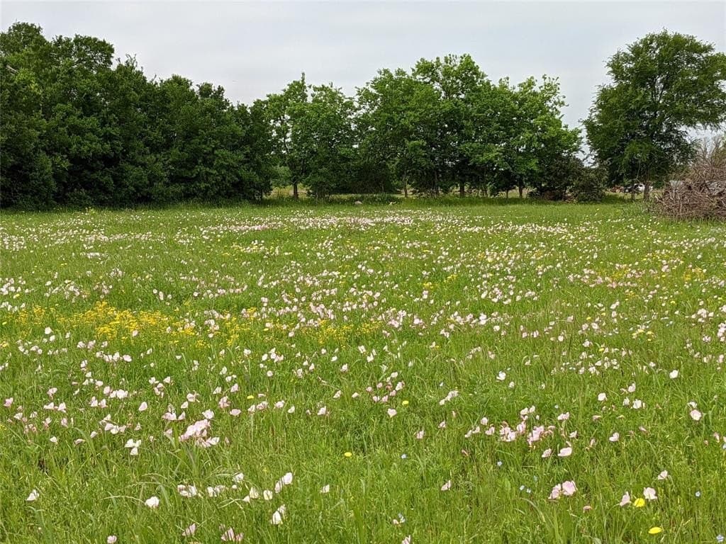 11.01 acres in Falls County - photo 11