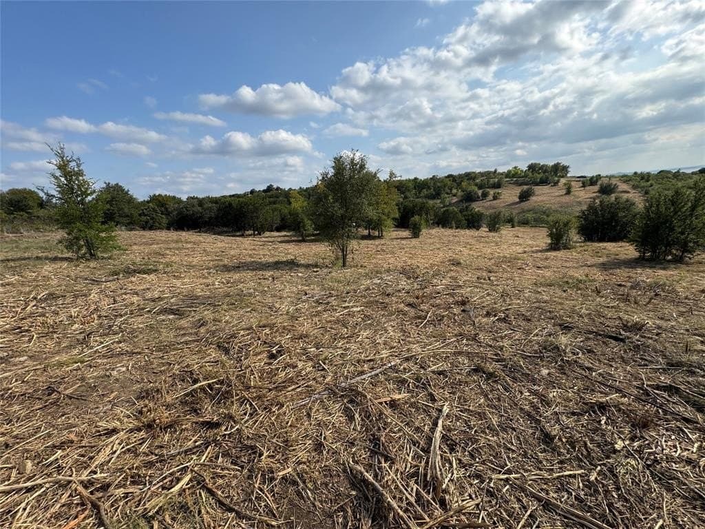 5.01 acres in Palo Pinto County - photo 10