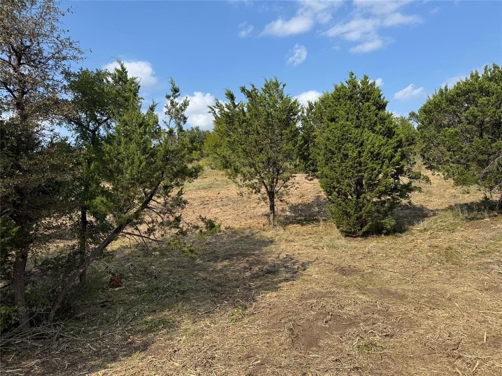 5.01 acres in Palo Pinto County - photo 6