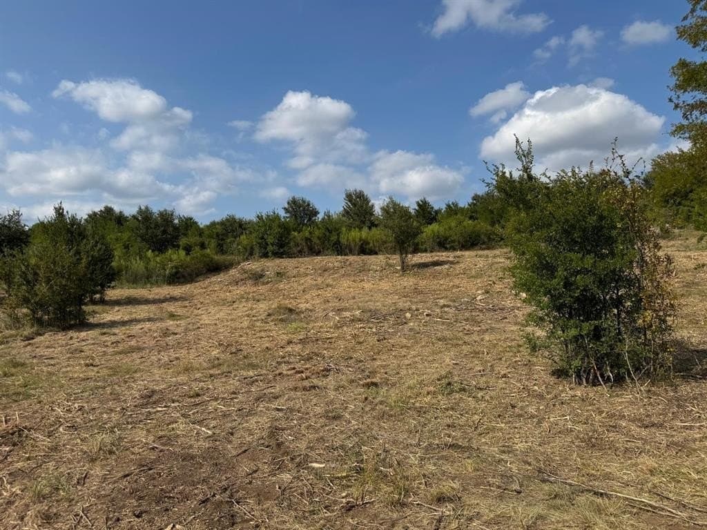 5.01 acres in Palo Pinto County - photo 24