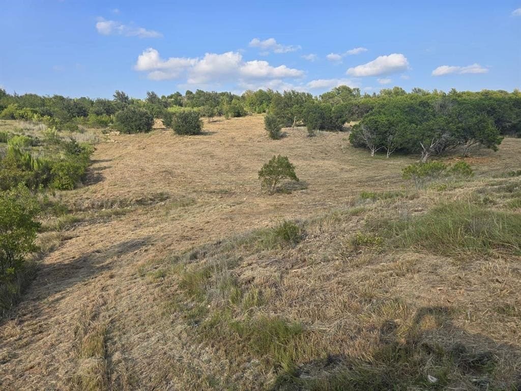 5.01 acres in Palo Pinto County - photo 4