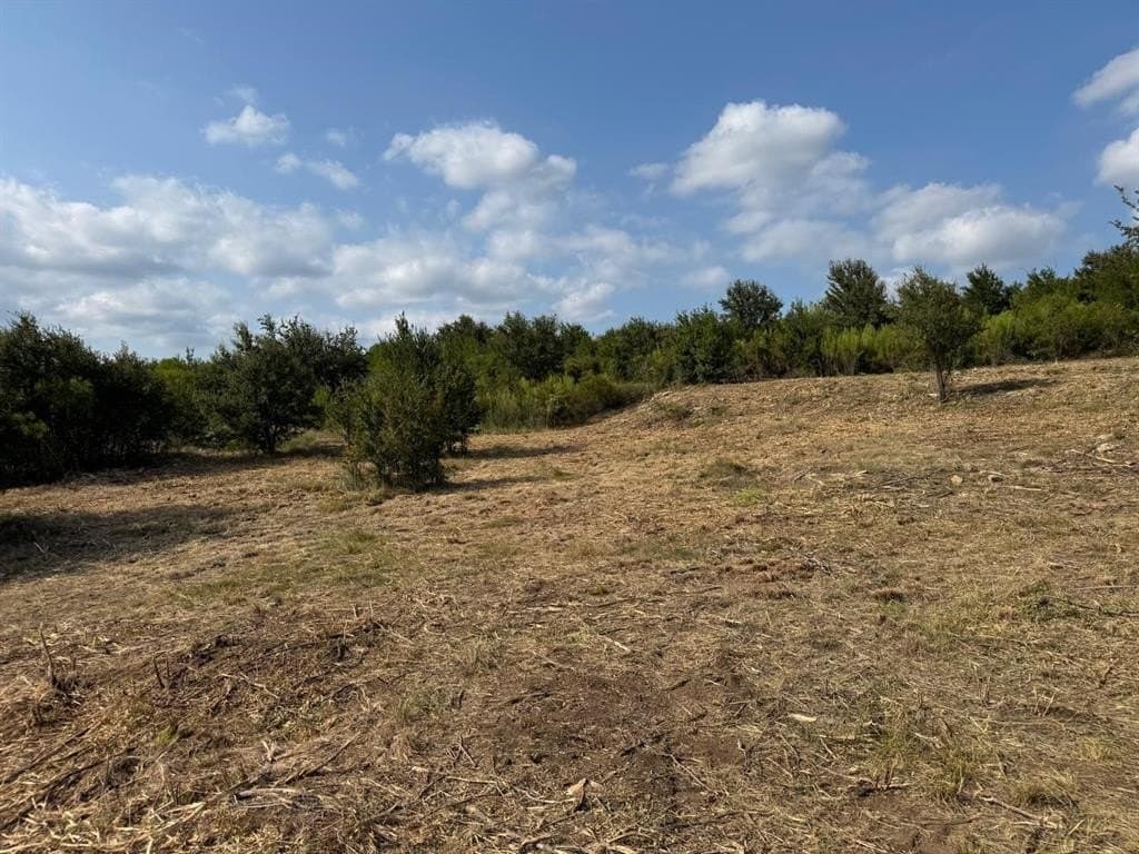 5.01 acres in Palo Pinto County - photo 12