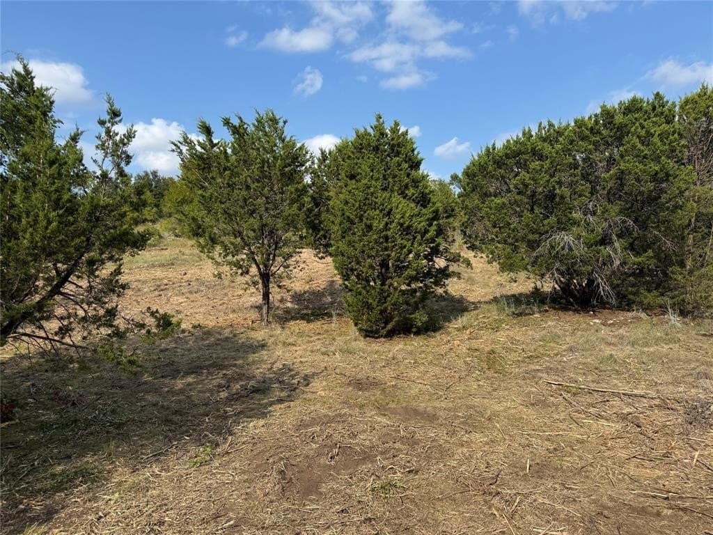5.01 acres in Palo Pinto County - photo 20