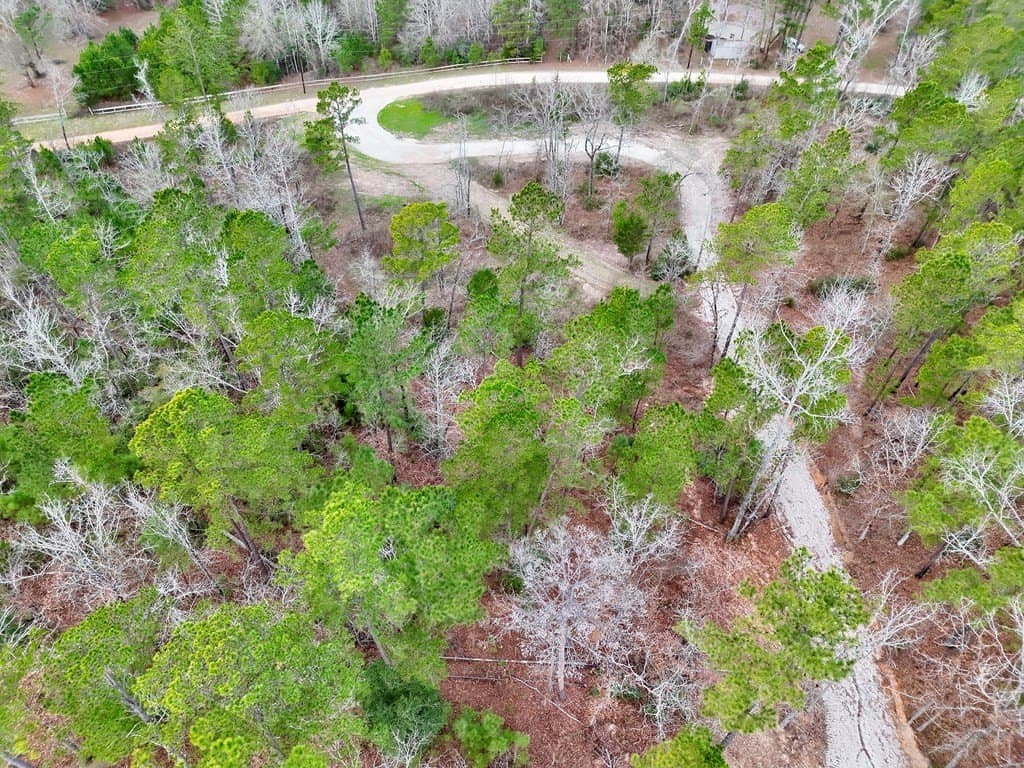 52.07 acres in ANDERSON County - photo 7