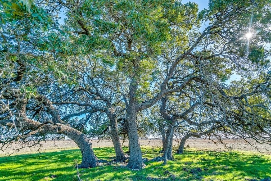 746 acres in Hamilton County - photo 5