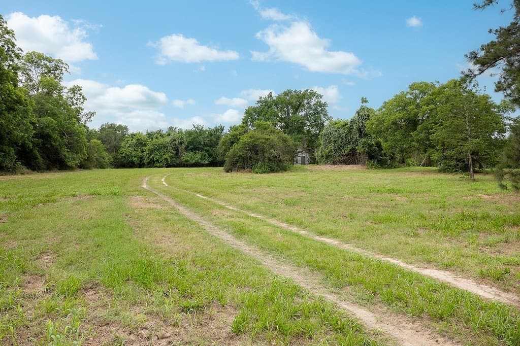 70.9 acres in Austin County - photo 5