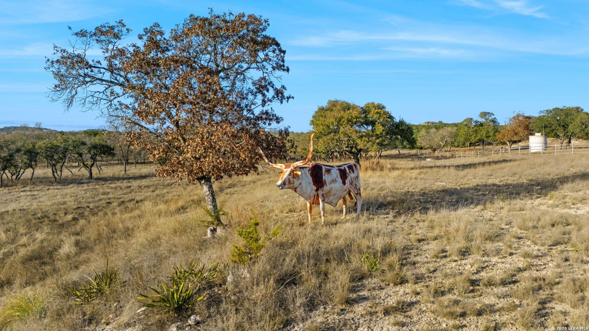 60 acres in Kerr County - photo 74