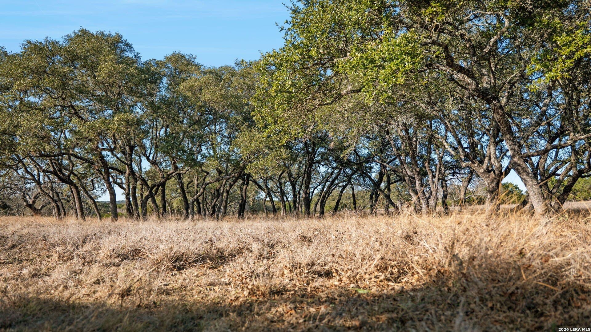 60 acres in Kerr County - photo 62