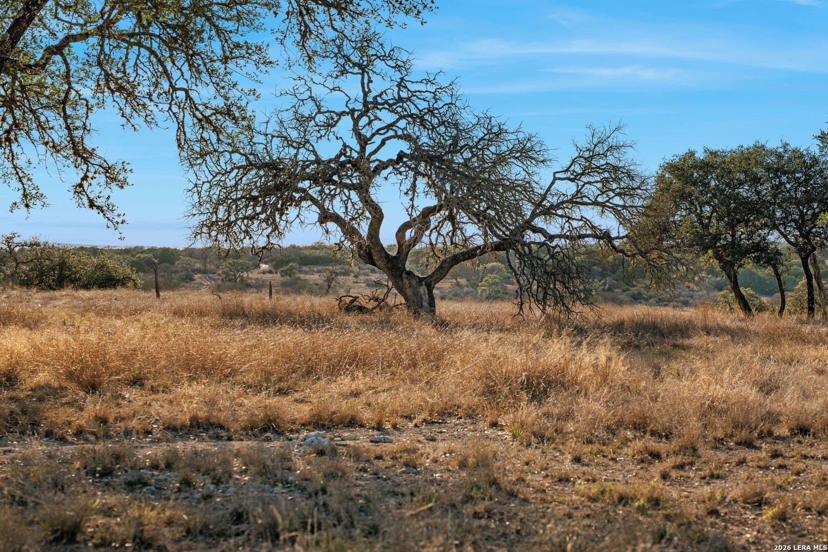 60 acres in Kerr County - photo 65