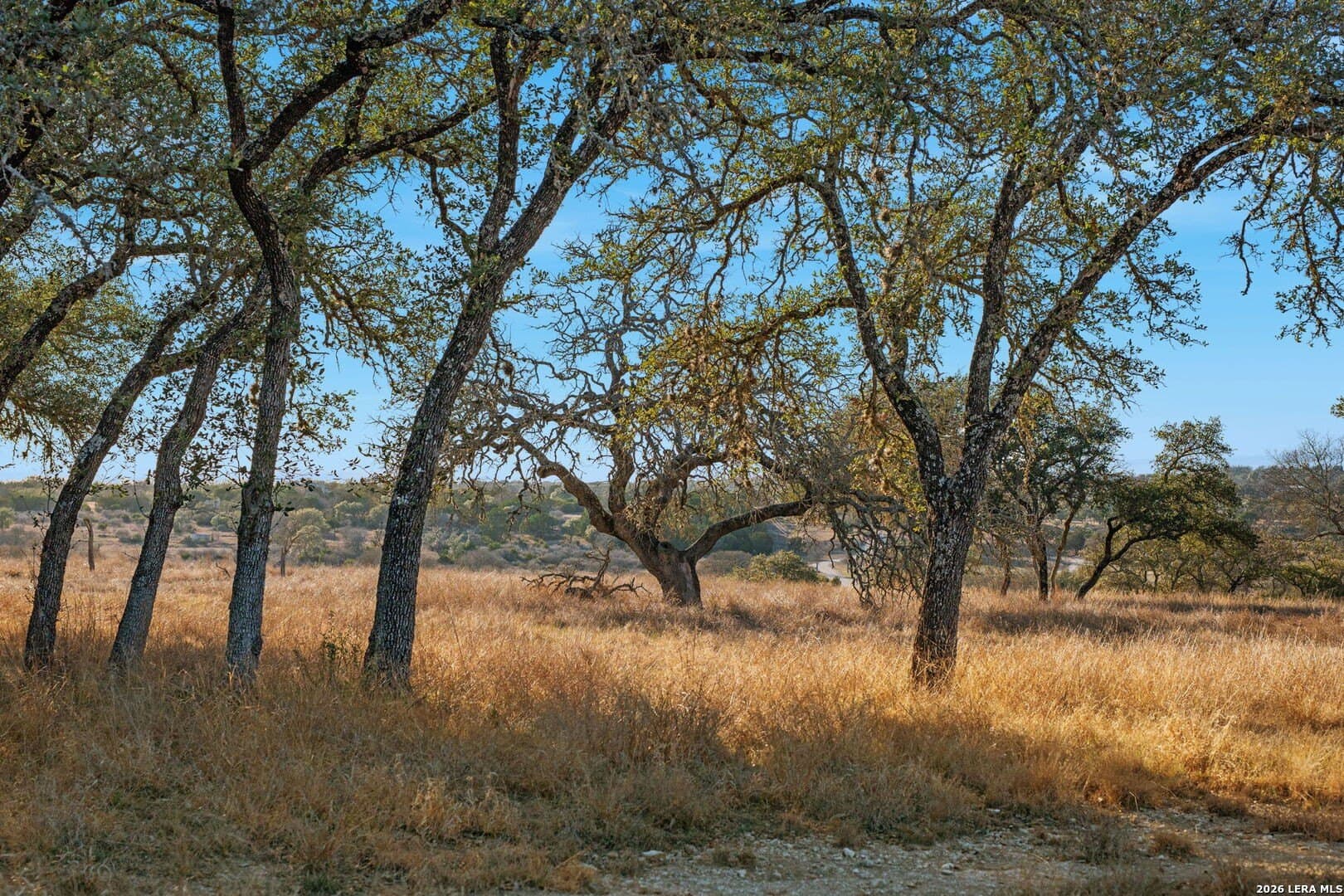 60 acres in Kerr County - photo 64