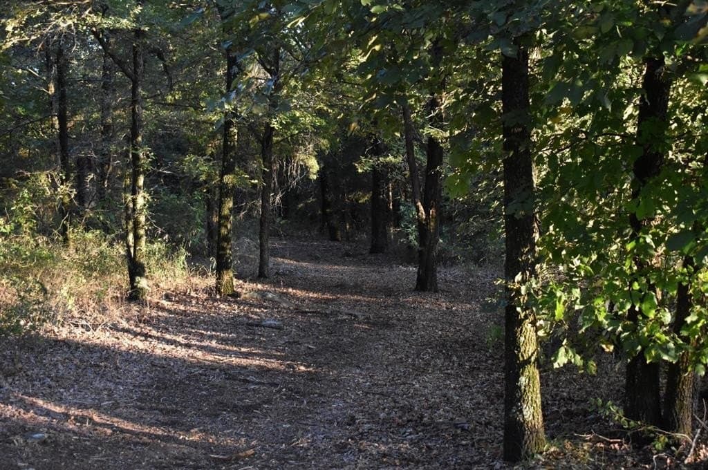 33.59 acres in Cooke County - photo 39