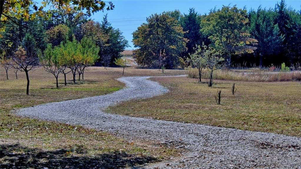33.59 acres in Cooke County - photo 5