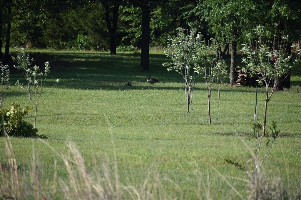 33.59 acres in Cooke County - photo 35