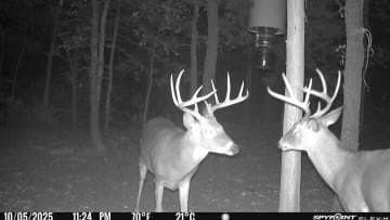 33.59 acres in Cooke County - photo 27