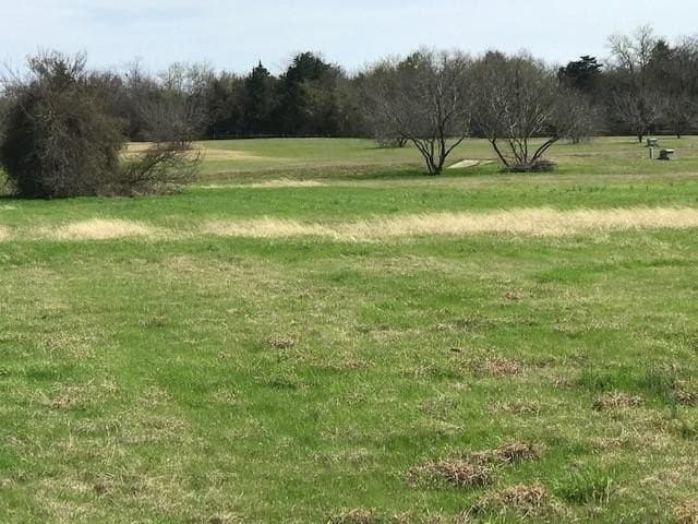 1.05 acres in Navarro County - photo 7