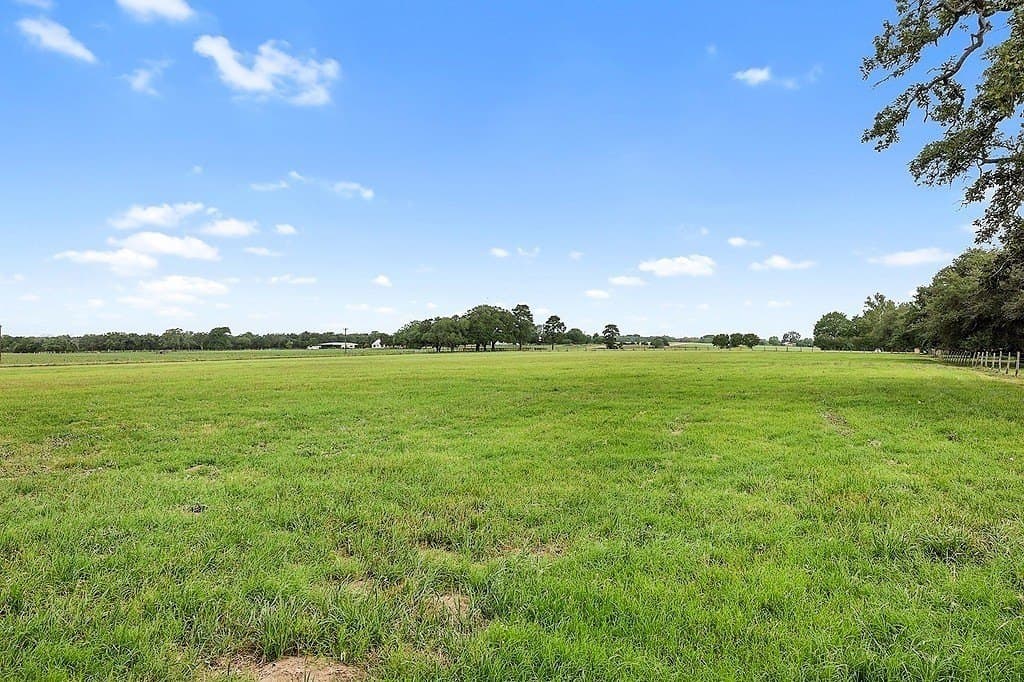 4 acres in Fayette County - photo 5
