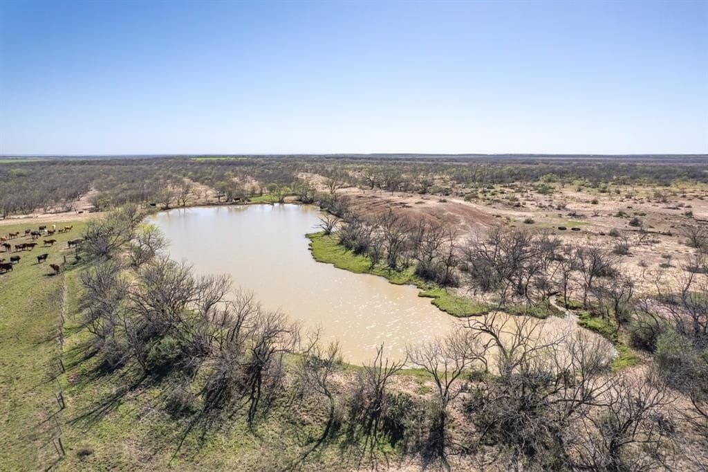 162.5 acres in Coleman County - photo 12