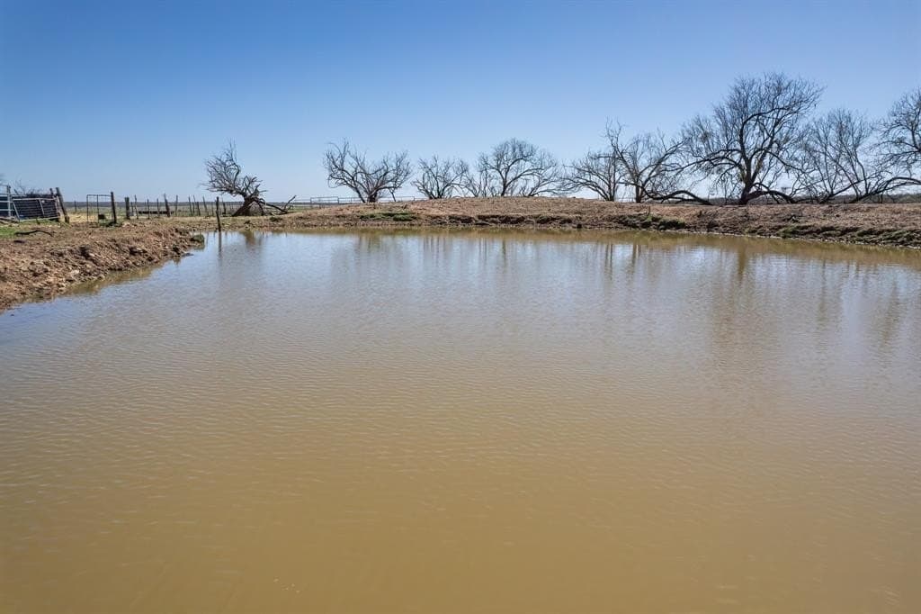 162.5 acres in Coleman County - photo 8
