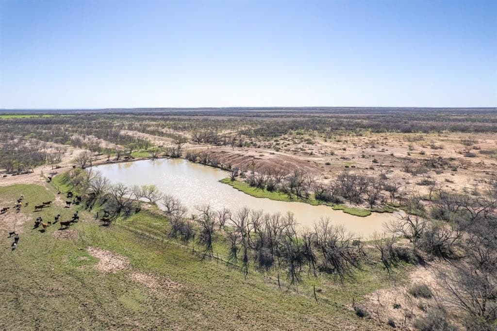 162.5 acres in Coleman County - photo 10
