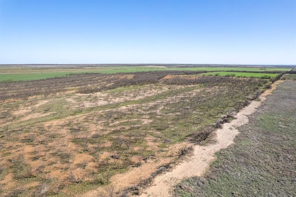 162.5 acres in Coleman County - photo 29