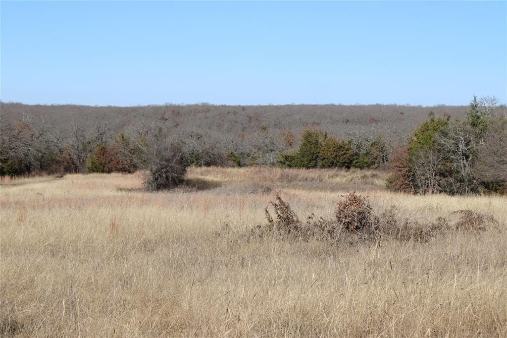 52.13 acres in Wise County - photo 6