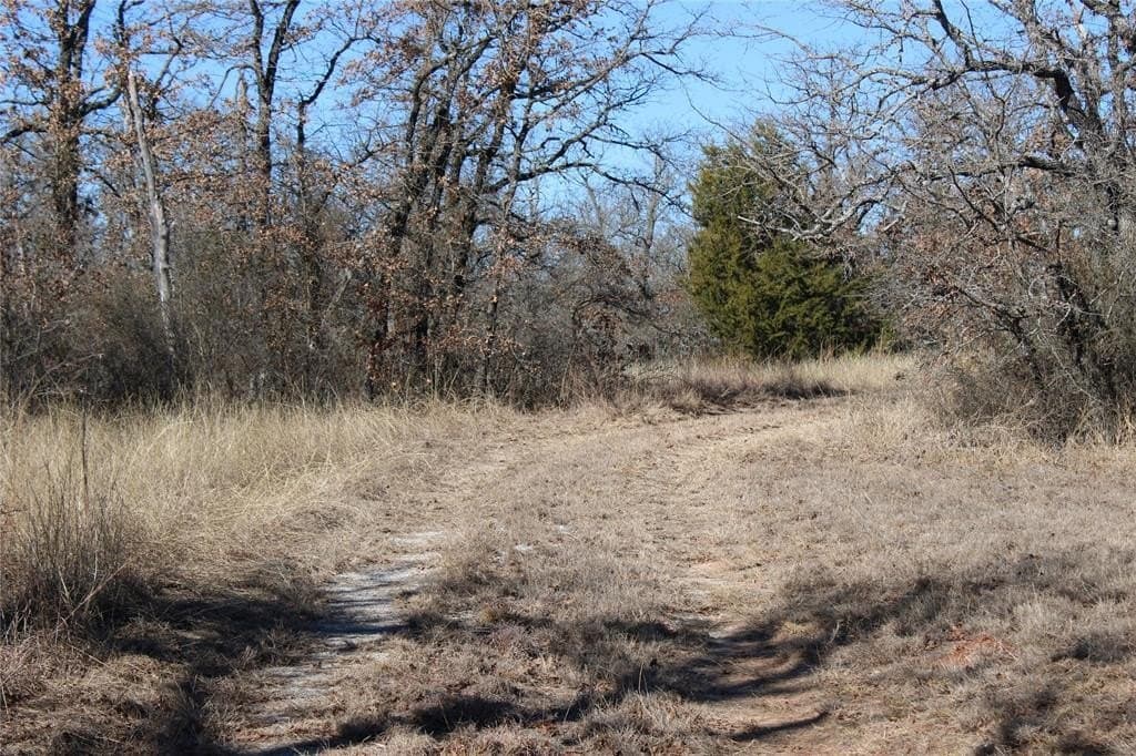 52.13 acres in Wise County - photo 2