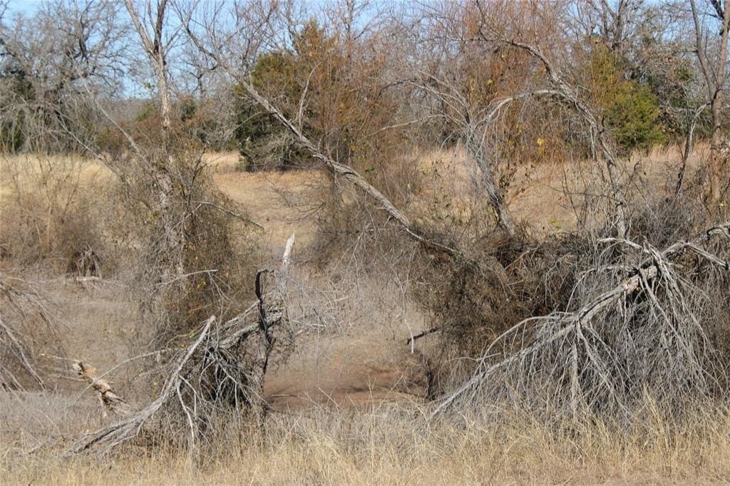 52.13 acres in Wise County - photo 9