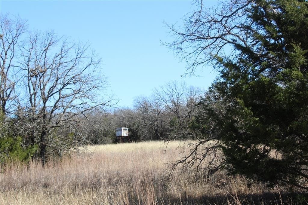 52.13 acres in Wise County - photo 10