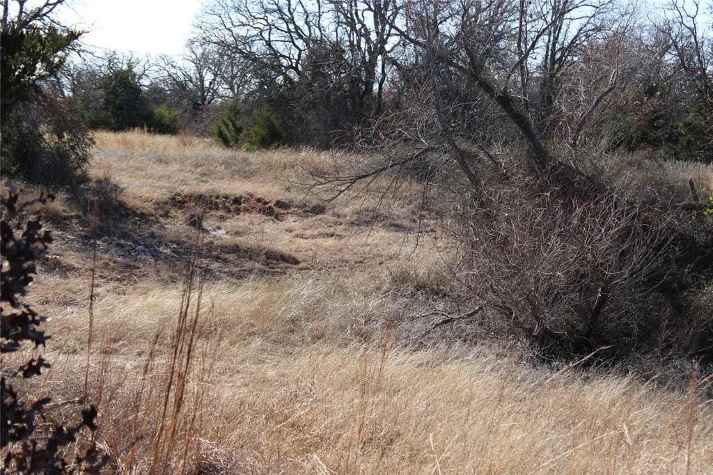 52.13 acres in Wise County - photo 7