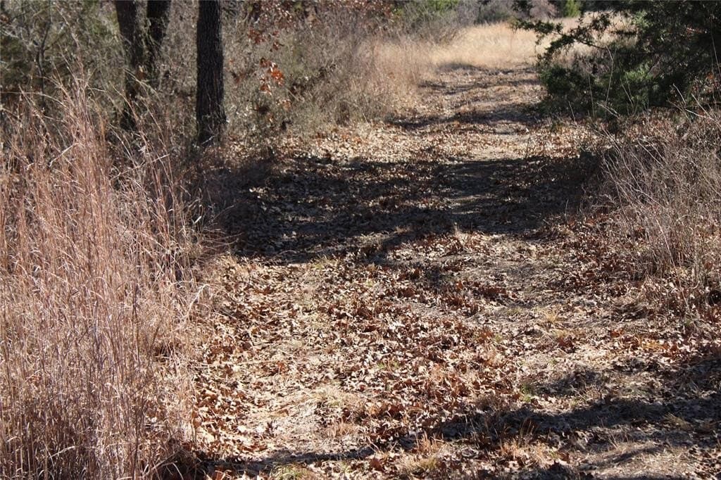 52.13 acres in Wise County - photo 16