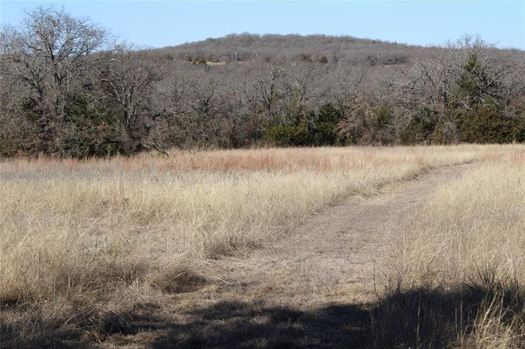 52.13 acres in Wise County - photo 5