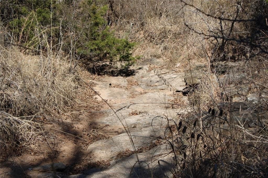 52.13 acres in Wise County - photo 14