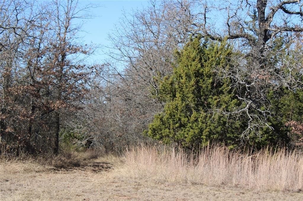 52.13 acres in Wise County - photo 4