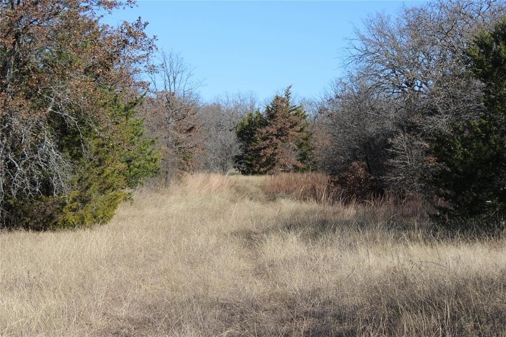 52.13 acres in Wise County - photo 17