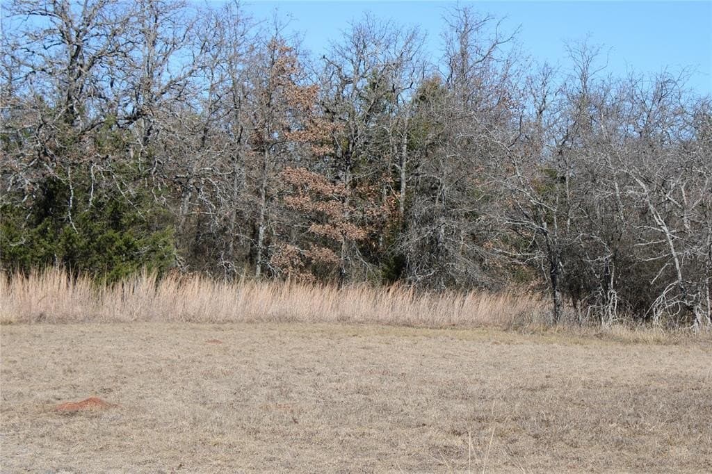 52.13 acres in Wise County - photo 3
