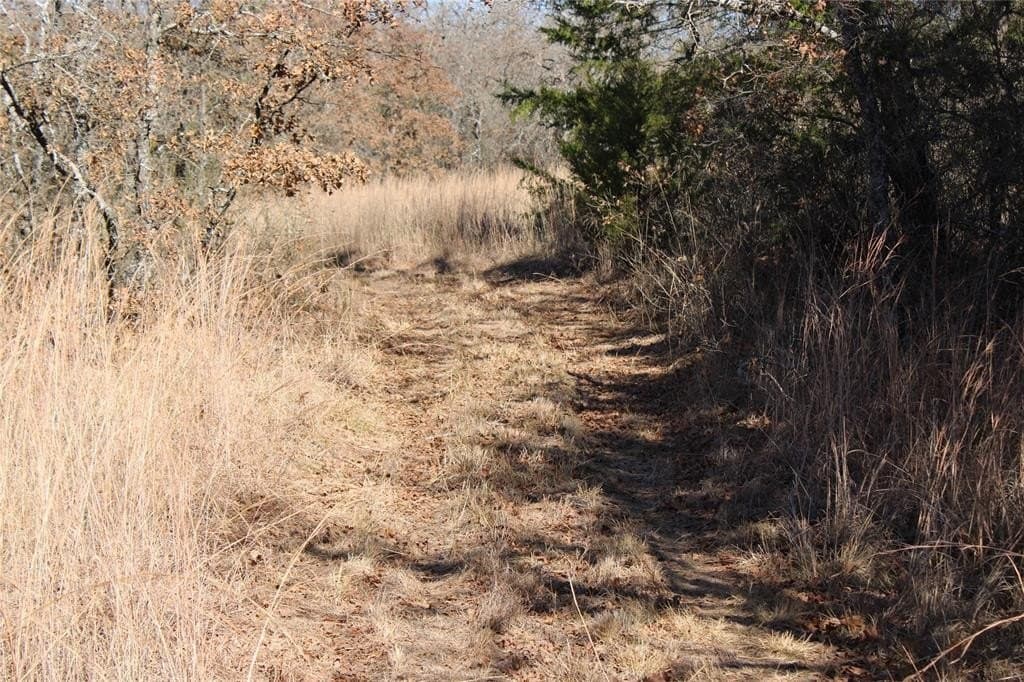 52.13 acres in Wise County - photo 13