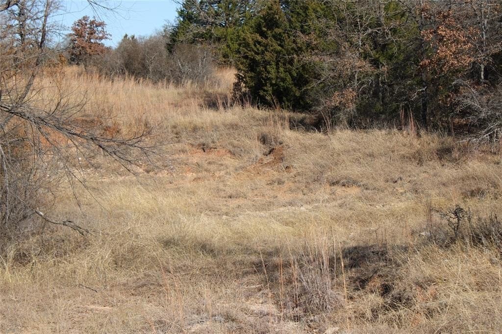 52.13 acres in Wise County - photo 8