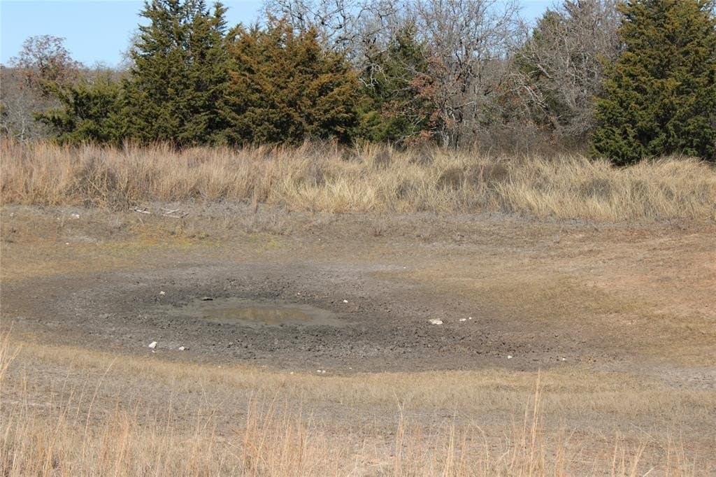 52.13 acres in Wise County - photo 11