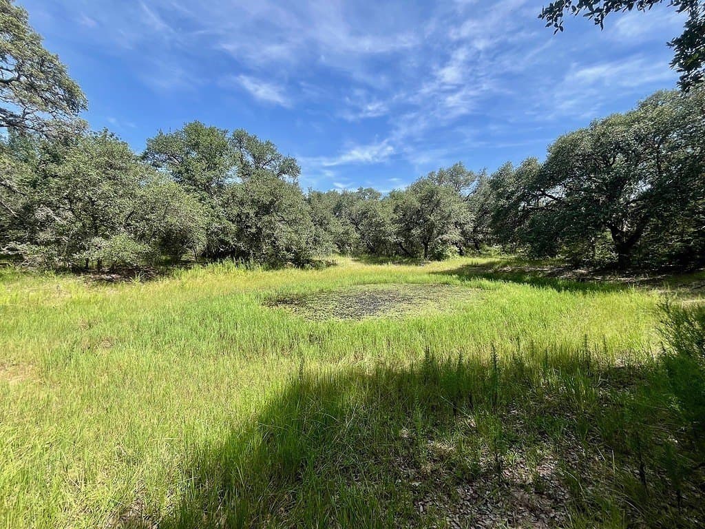 11.28 acres in Colorado County - photo 7