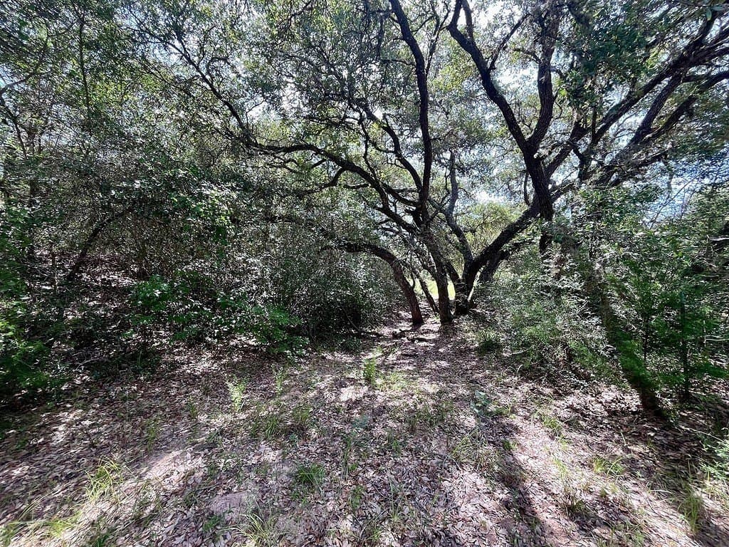 11.28 acres in Colorado County - photo 2