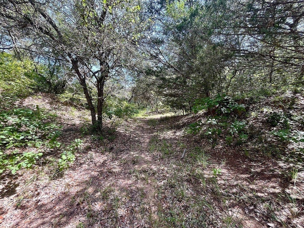 11.28 acres in Colorado County - photo 11