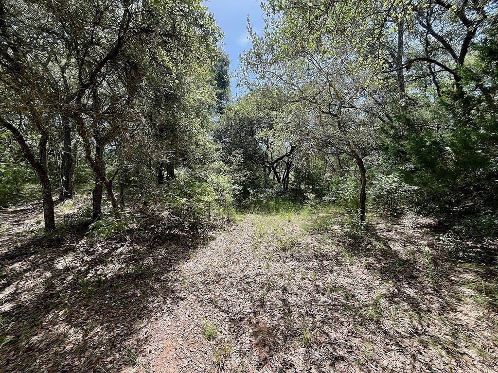 11.28 acres in Colorado County - photo 8