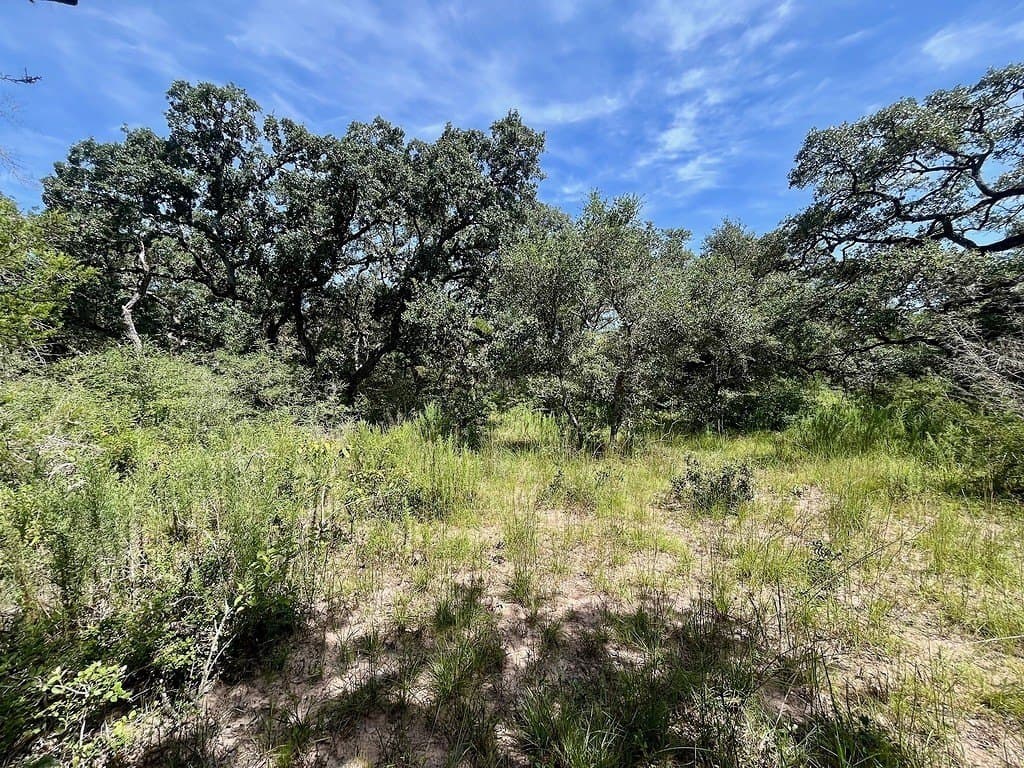 11.28 acres in Colorado County - photo 9