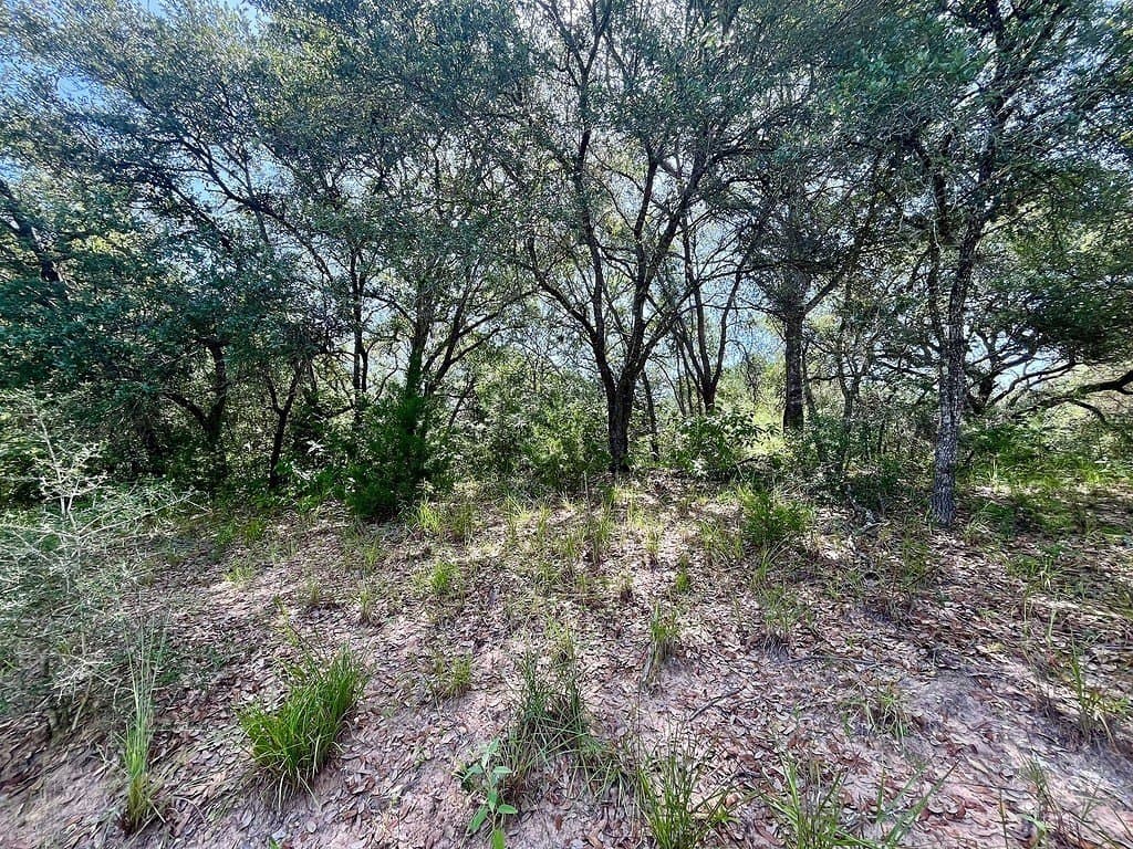 11.28 acres in Colorado County - photo 4